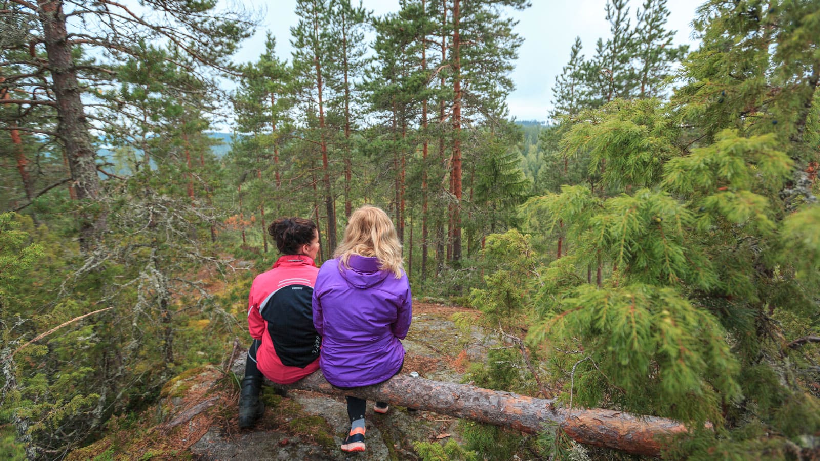 Kaksi henkilöä istuu metsässä.