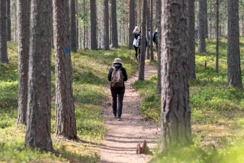 Henkilö kävelee reppu selässä polkua mäntymetsässä