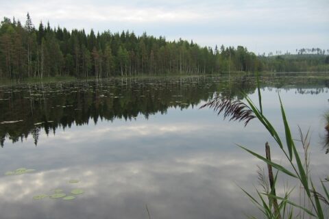 Nature & hiking – Visit Jyväskylä Region, Lakeland Finland