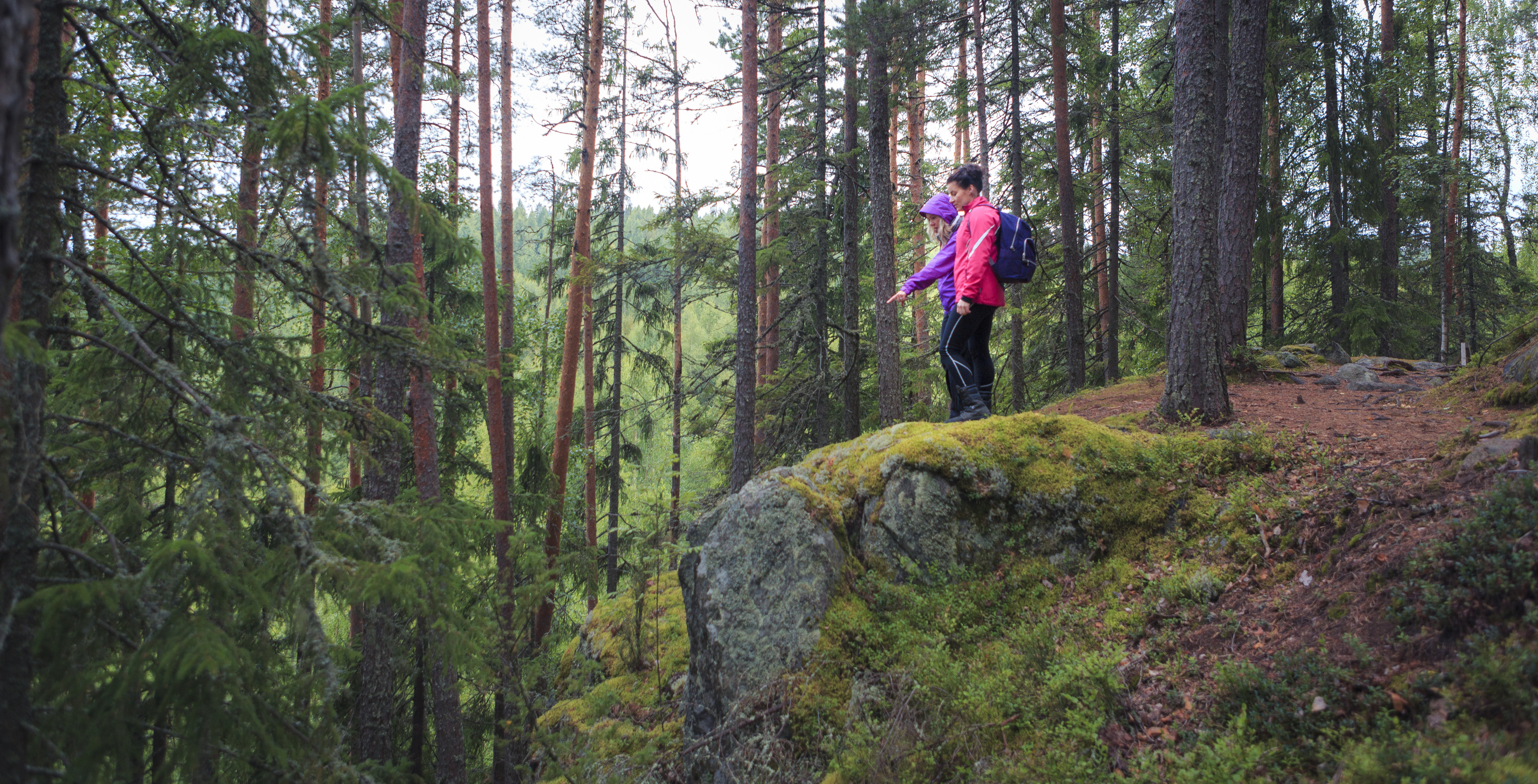 Struve Geodetic Arc: Oravivuori Arc Point – Visit Jyväskylä Region