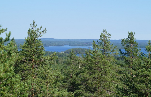 Laulavan Mörön Polku Nature Trail 19km – Visit Jyväskylä Region