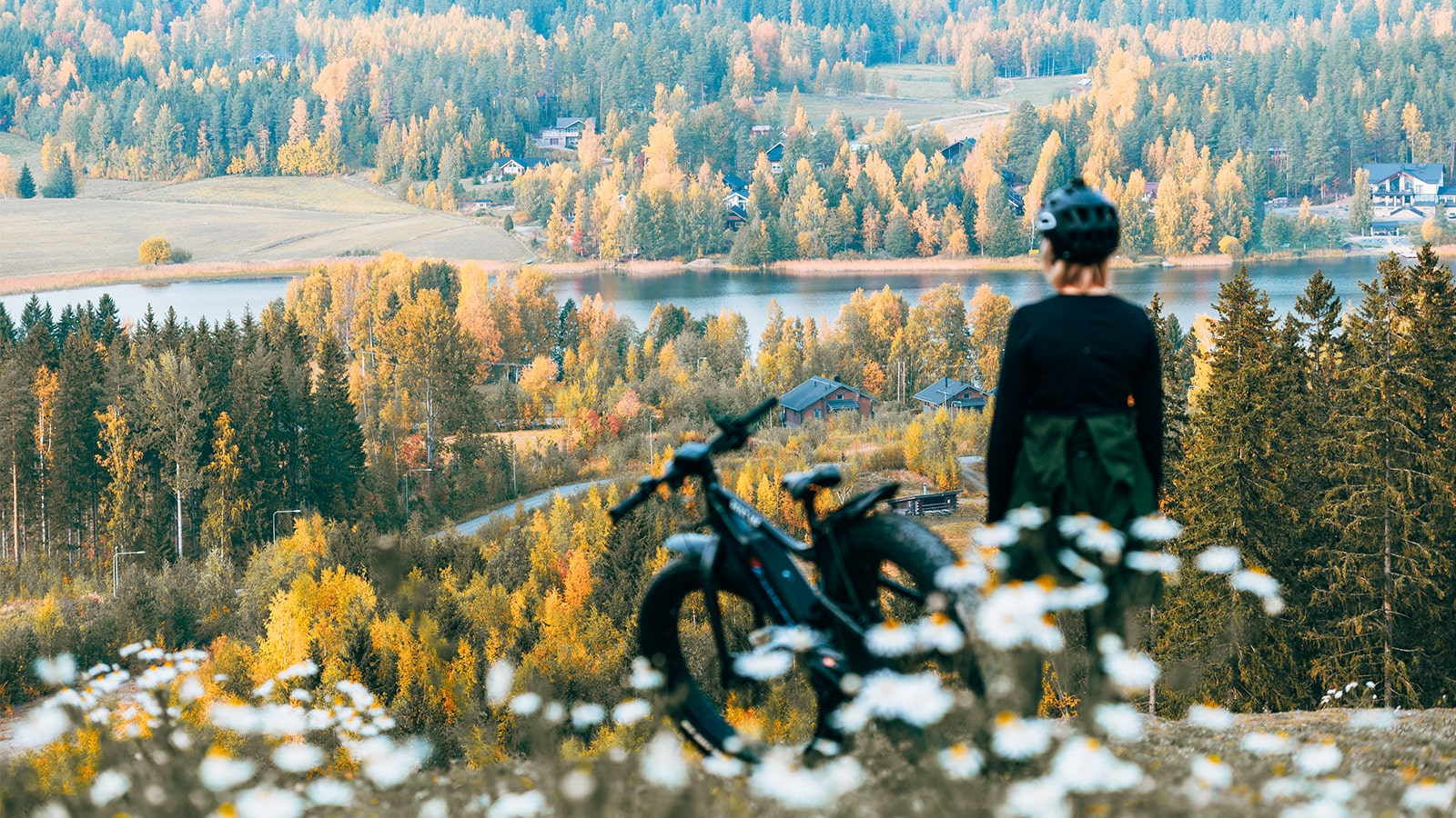 Person is watching a forest view at the top of a hill