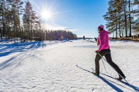 Person skiing in sunny winter landscape.