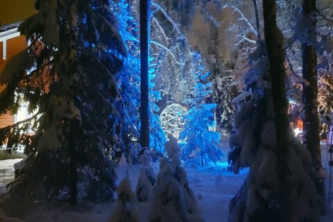 Valoveistos talvisessa metsässä