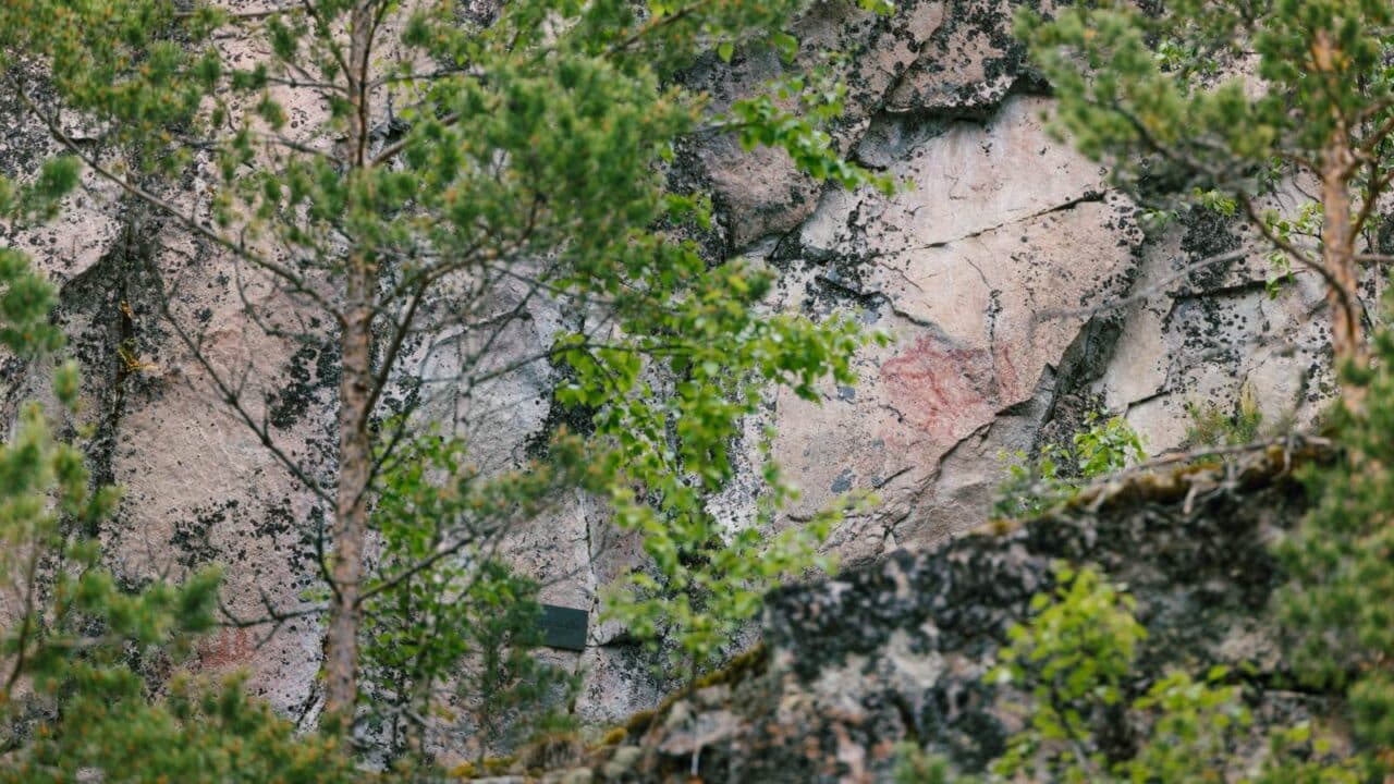 Saraakallio's elk-themed rock painting among the trees.