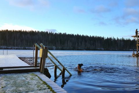 Person ice swimming
