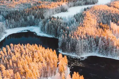 Kapeenniemi Äänekoskella.