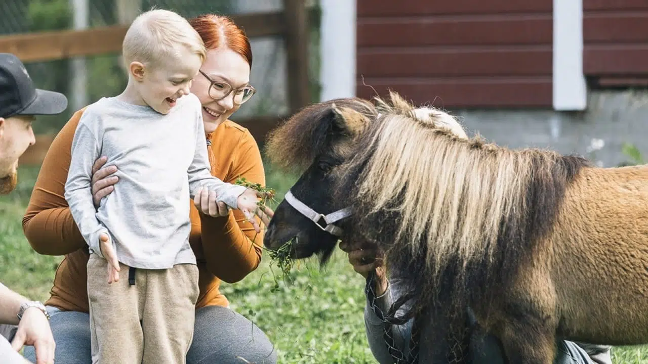 Adult and child petting a pony