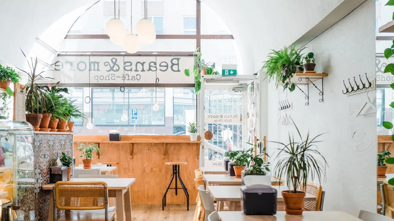 Viherkasveja ja kalusteita Beans&More kahvilassa sisällä