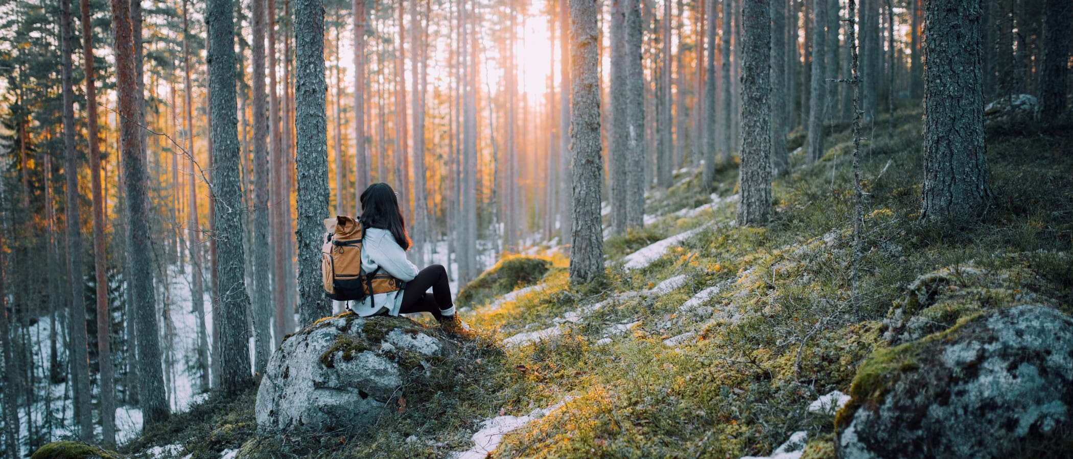 A person is sitting on a rock in a forest.
