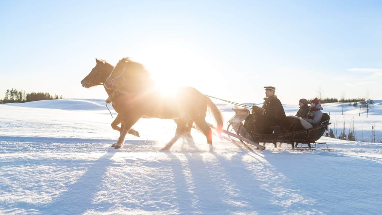 Hevonen vetämässä joulurekeä, jossa kyydissä kolme henkilöä.