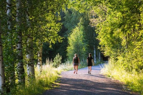 Two people walking a wide forest trail side by side in summer