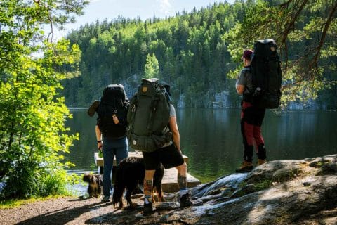 Kolme henkilöä rinkat selässä ja kaksi koiraa seisomassa järven rannalla pienen laiturin edessä kesäpäivänä.