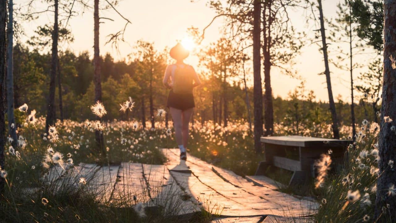 Henkilö kävelemässä poispäin kamerasta kansallispuistossa. Laskeva aurinko paistaa henkilön takana.