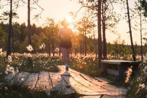 Henkilö kävelemässä poispäin kamerasta kansallispuistossa. Laskeva aurinko paistaa henkilön takana.