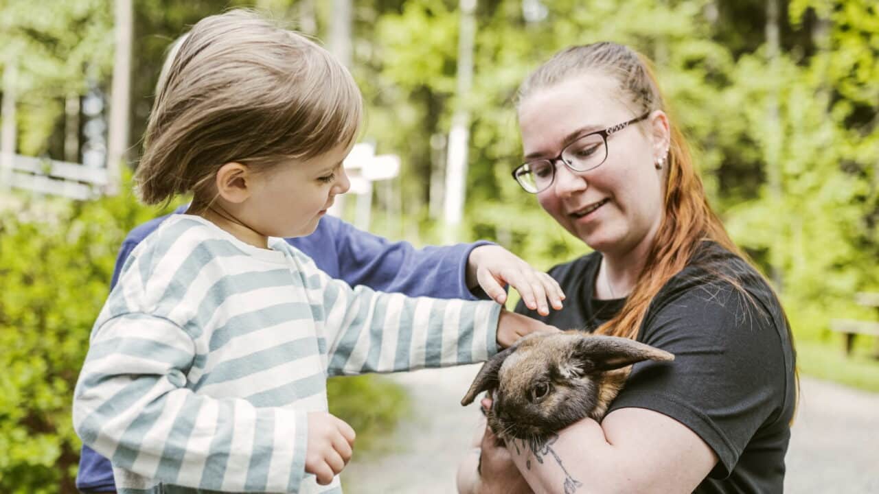 Pieni lapsi silittää kania.