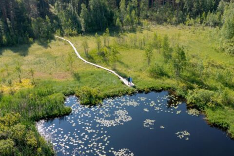 Above, a view of a forest clearing, with longitudinal trees leading from the forest to the pond shore. At the end of the long poles, two people are standing in front of the pond.