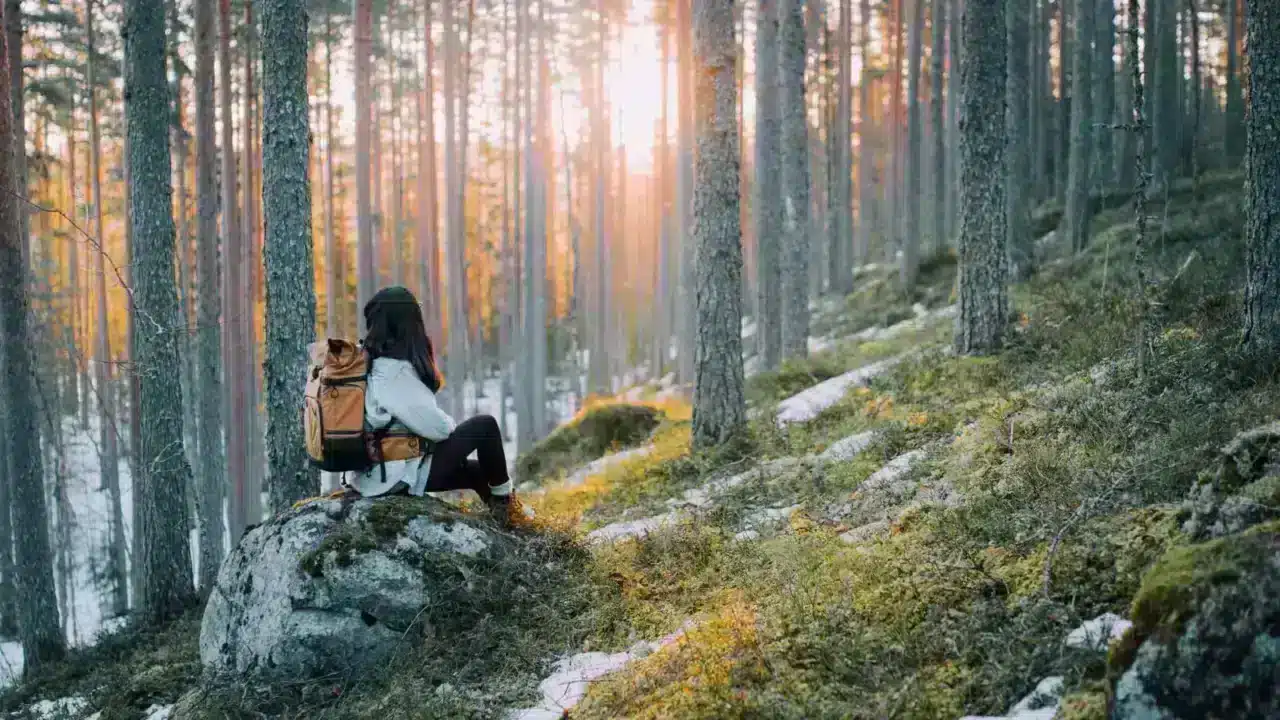 Henkilö istuu kiven päällä metsässä, jossa on hieman lunta näkyvillä.