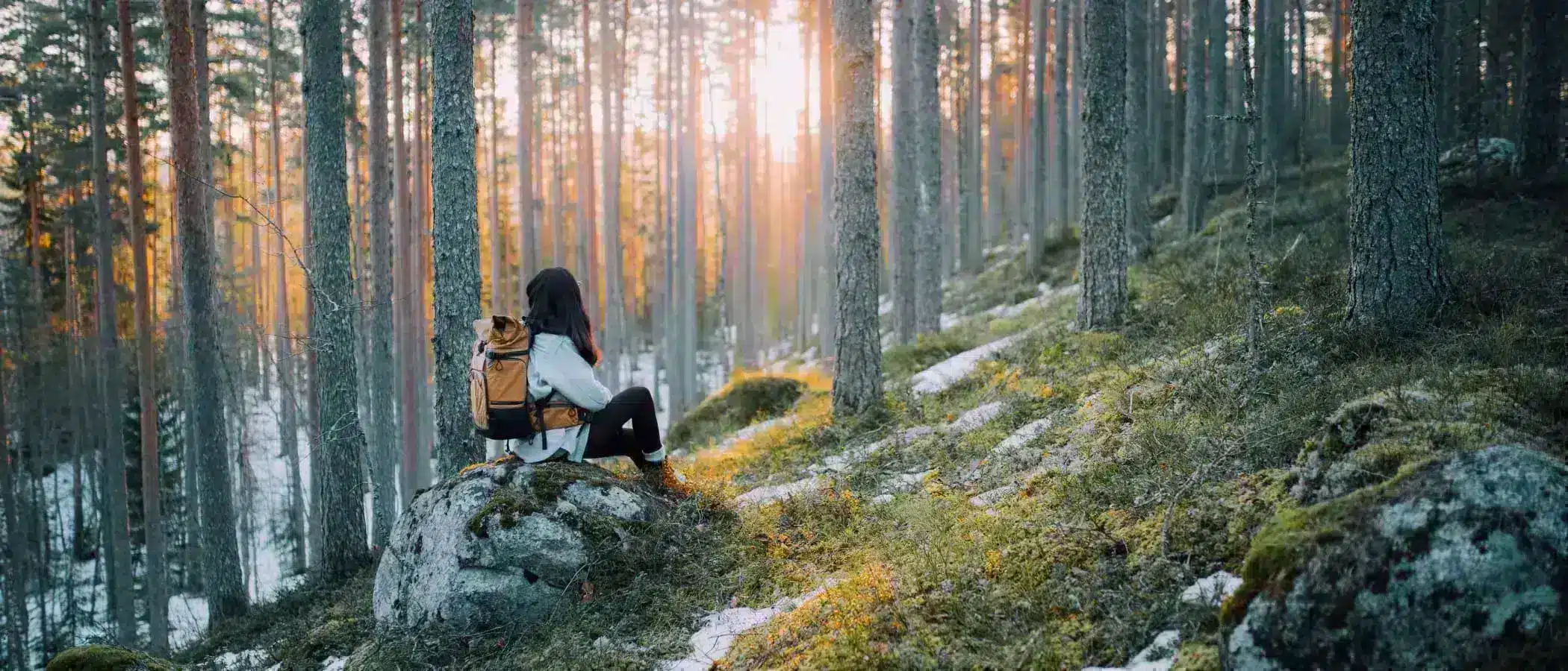 A person sitting in a rock in a forest.