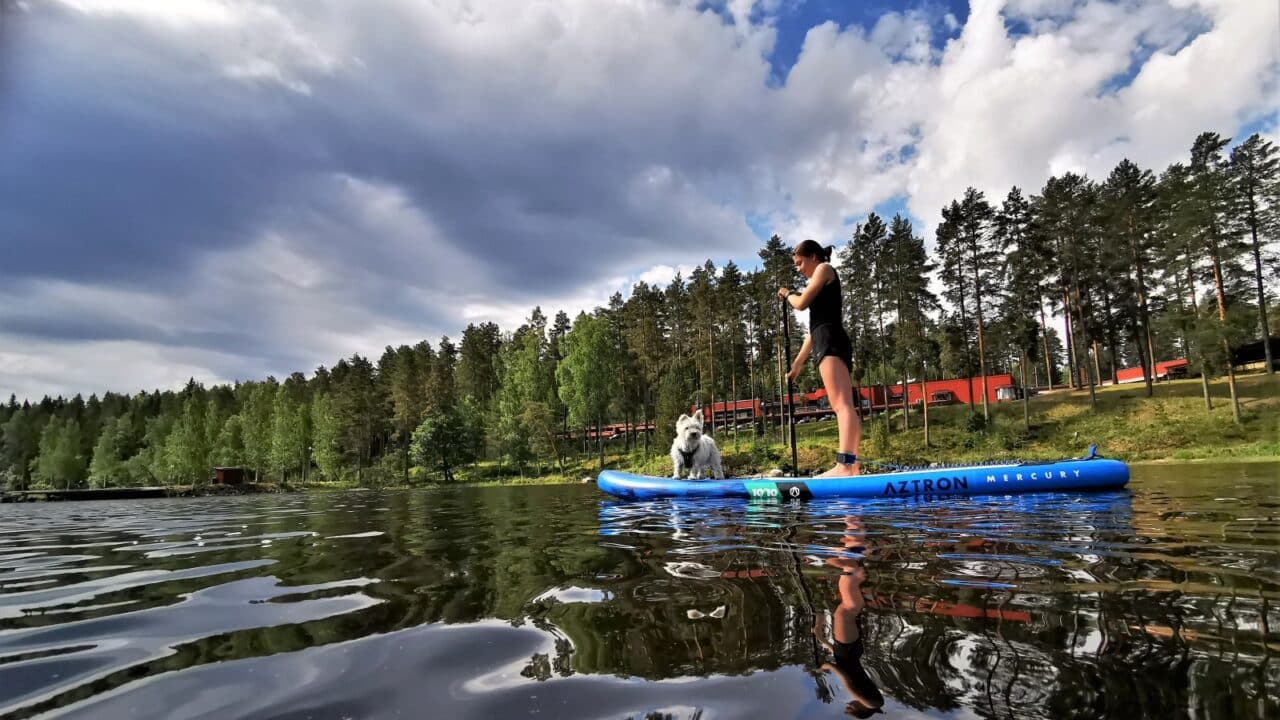 A human and a dog SUP-ing on the lake.