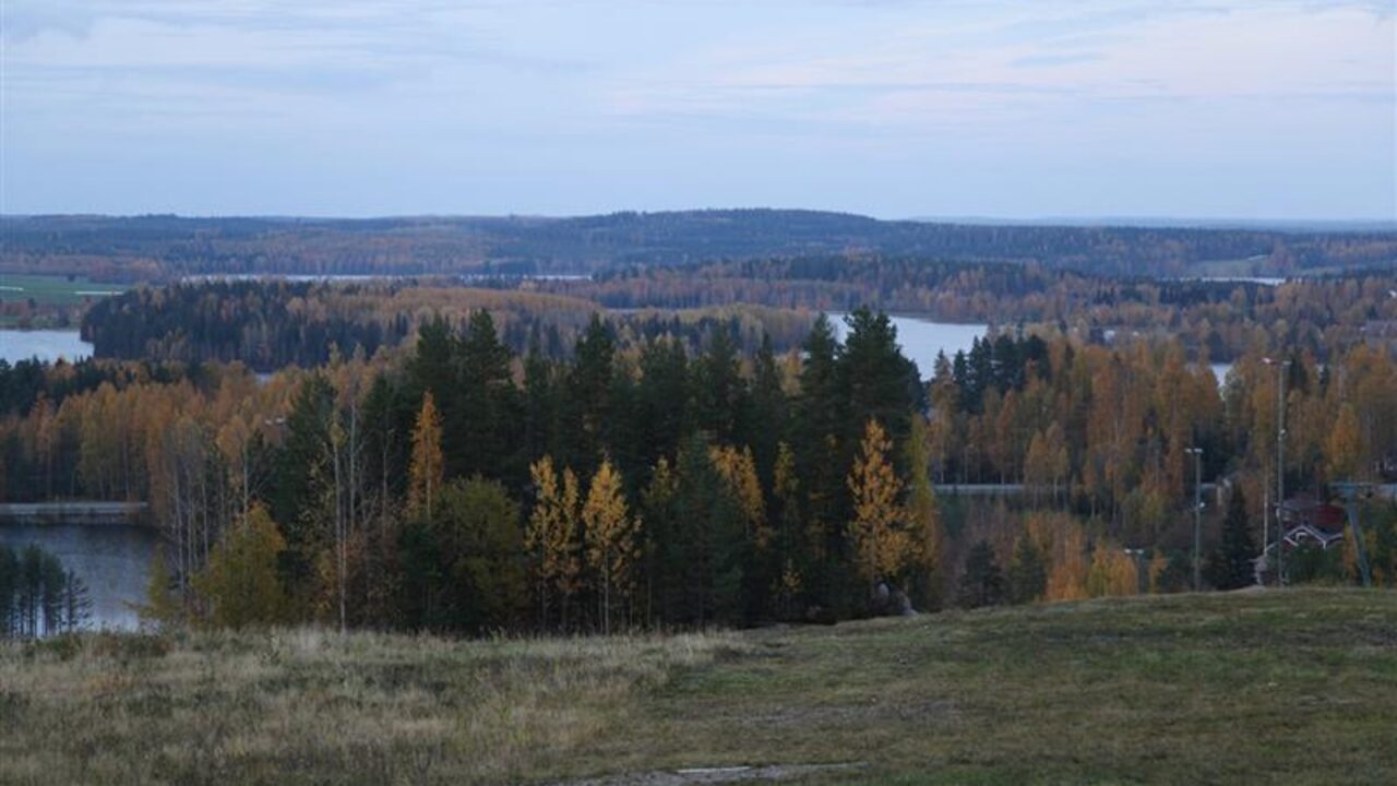Metsäinen näkymä Saarijärven Kusiaismäen huipulta.