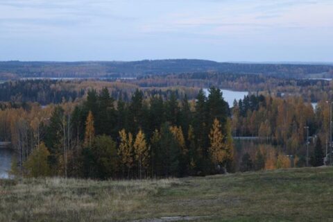 Metsäinen näkymä Saarijärven Kusiaismäen huipulta.