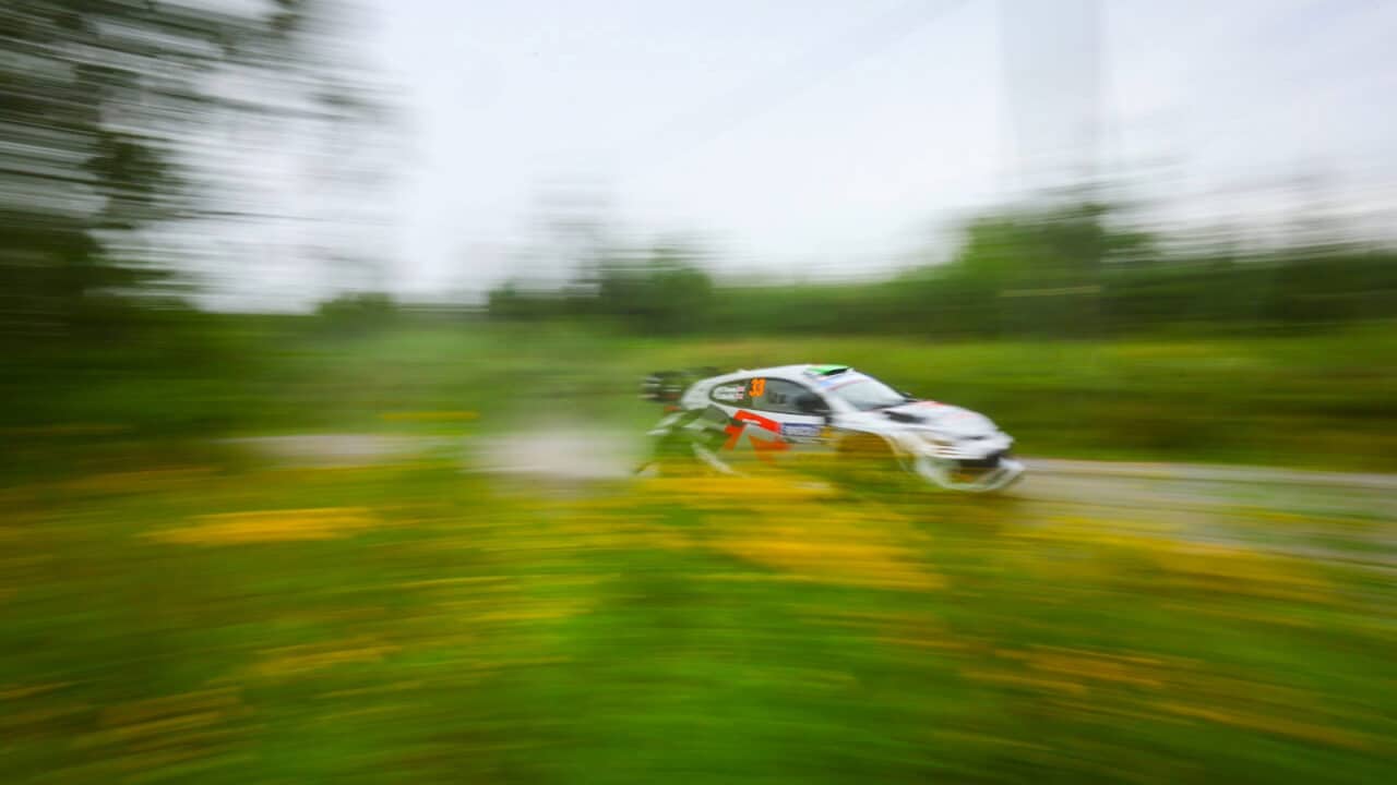 Ralliauto ajaa kovaa vehreässä maisemassa.