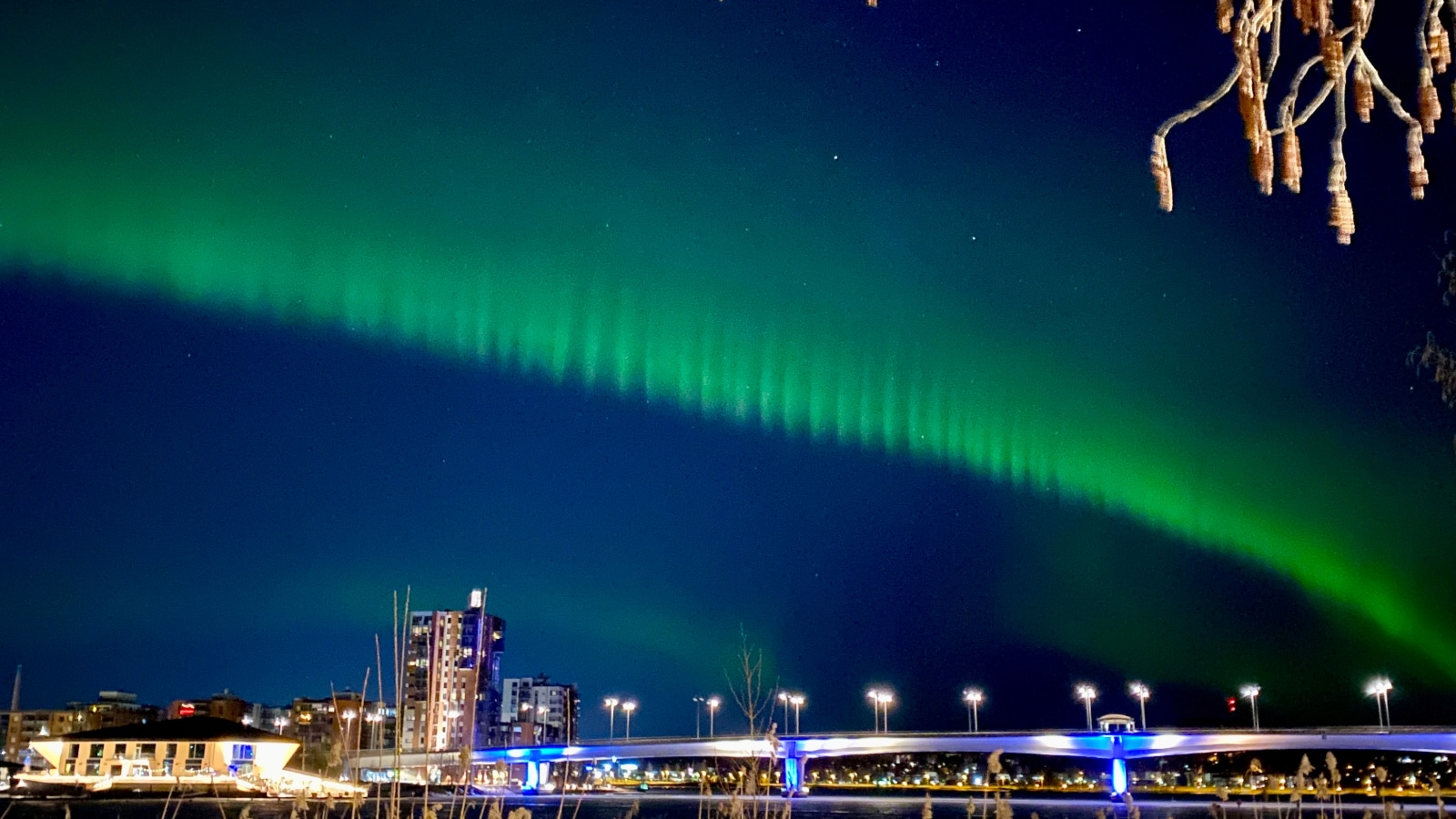 Northern Lights dancing above Lutakko Harbour.