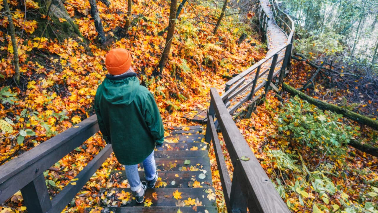 A person walking on a nature trail where colurful leaves has fallen on the ground.