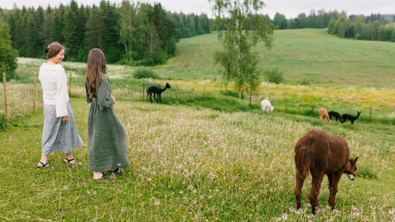 Henkilöt Hankasalmella Haanpään Kesäkahvilan maatilalla lampaiden kanssa.