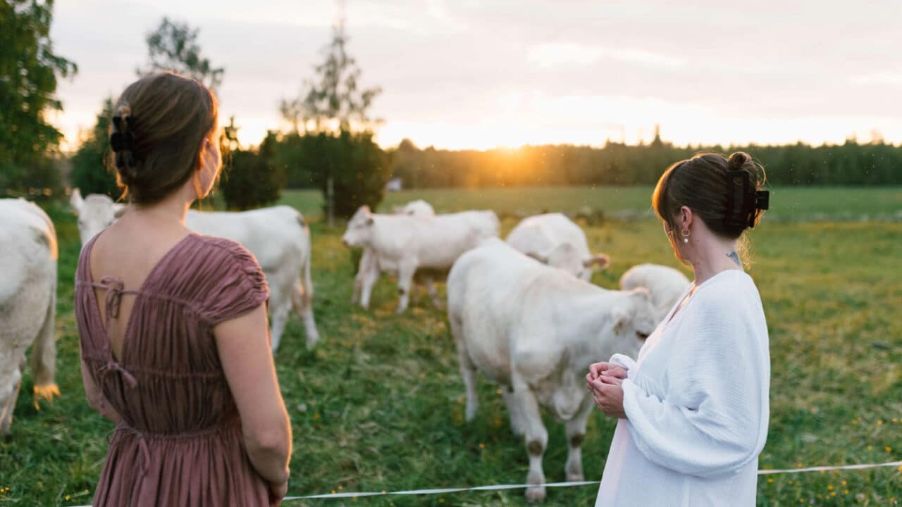 Two persons standing in front of cows.