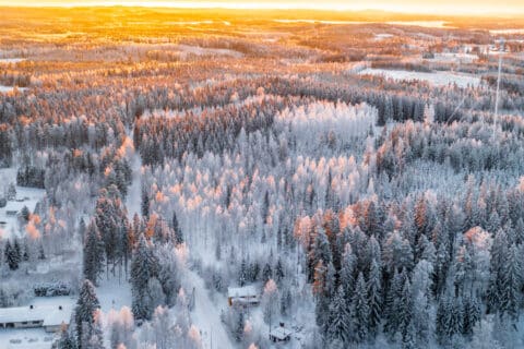 Trees covered by the snow in Konnevesi.