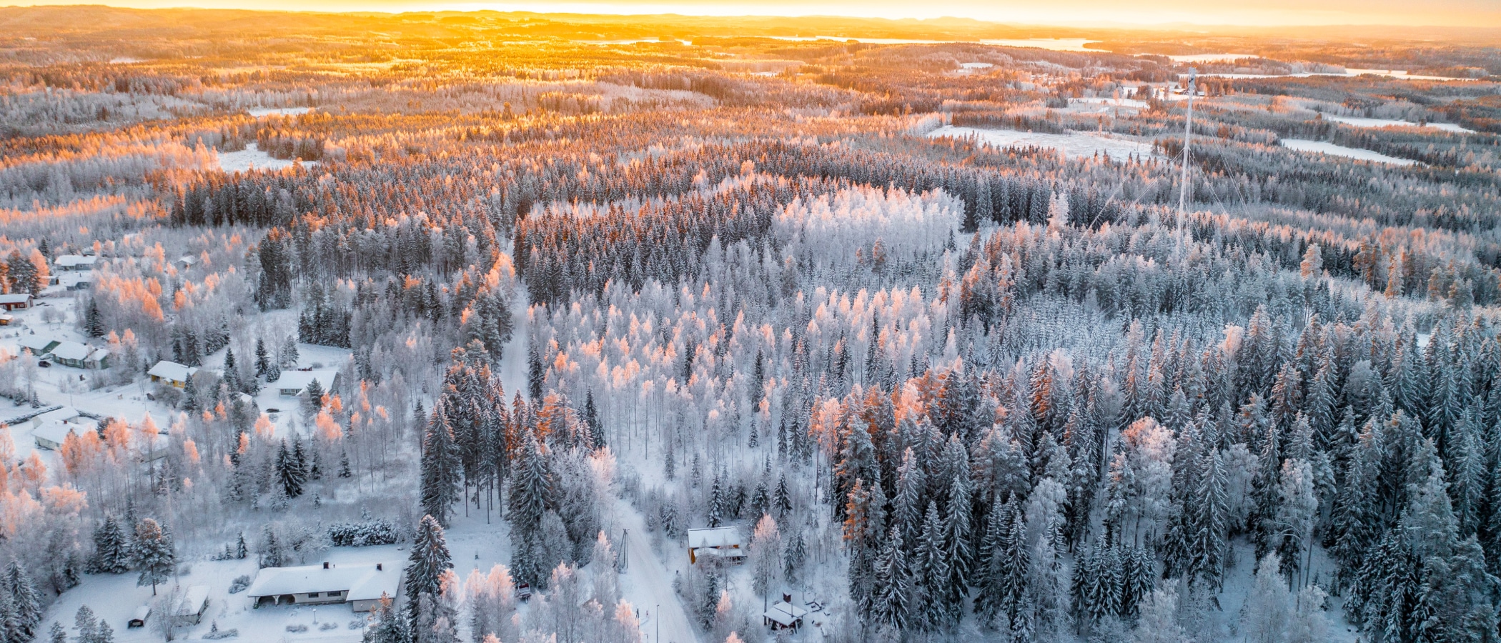 Trees covered by the snow in Konnevesi.