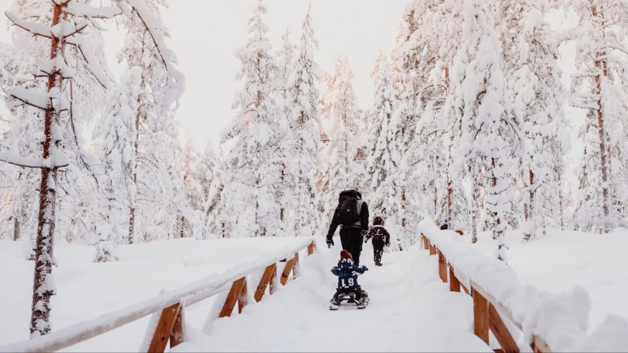 An adult and two children are walking through a snowy forest.