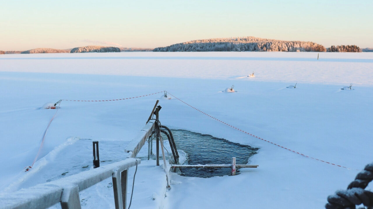 Avantouintipaikka Säynätsalon Juurikkasaaressa.