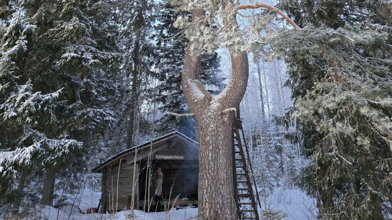 Person at a lean-to in winter.
