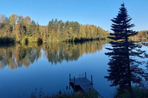 Tyyni järvimaisema. Järven rannalla on laituri ja vasta-rannalla metsää.