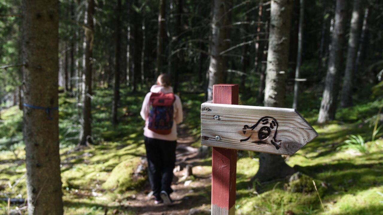 A person walking on a nature trail