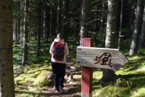 Henkilö kävelemässä luontopolulla