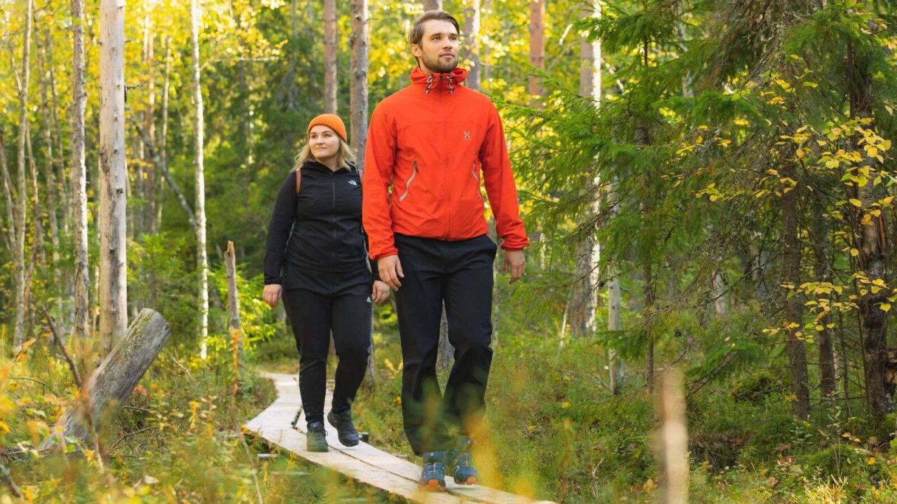 Two people walking on the planks in a forest
